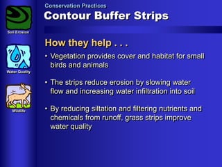 Conservation Practices

Contour Buffer Strips
Soil Erosion

How they help . . .
• Vegetation provides cover and habitat for small
birds and animals
Water Quality

• The strips reduce erosion by slowing water
flow and increasing water infiltration into soil
Wildlife

• By reducing siltation and filtering nutrients and
chemicals from runoff, grass strips improve
water quality

 