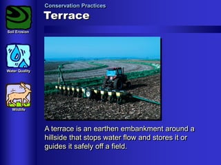 Conservation Practices

Terrace
Soil Erosion

Water Quality

Wildlife

A terrace is an earthen embankment around a
hillside that stops water flow and stores it or
guides it safely off a field.

 