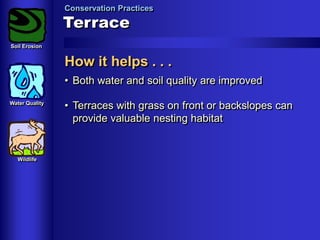 Conservation Practices

Terrace
Soil Erosion

How it helps . . .
• Both water and soil quality are improved
Water Quality

Wildlife

• Terraces with grass on front or backslopes can
provide valuable nesting habitat

 