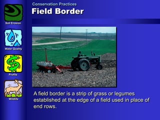 Conservation Practices

Field Border
Soil Erosion

Water Quality

Profits

Wildlife

A field border is a strip of grass or legumes
established at the edge of a field used in place of
end rows.

 