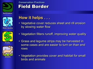 Conservation Practices

Field Border
Soil Erosion

How it helps . . .
Water Quality

• Vegetative cover reduces sheet and rill erosion
by slowing water flow
• Vegetation filters runoff, improving water quality

Profits

Wildlife

• Grass and legume strips may be harvested in
some cases and are easier to turn on than end
rows
• Vegetation provides cover and habitat for small
birds and animals

 