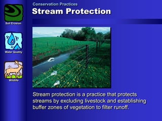 Conservation Practices

Stream Protection
Soil Erosion

Water Quality

Wildlife

Stream protection is a practice that protects
streams by excluding livestock and establishing
buffer zones of vegetation to filter runoff.

 