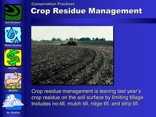 Conservation Practices

Crop Residue Management
Soil Erosion

Water Quality

Profits

Wildlife

Air Quality

Crop residue management is leaving last year’s
crop residue on the soil surface by limiting tillage.
Includes no-till, mulch till, ridge till, and strip till.

 