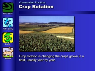 Conservation Practices

Crop Rotation
Soil Erosion

Water Quality

Profits

Wildlife

Crop rotation is changing the crops grown in a
field, usually year by year.

 