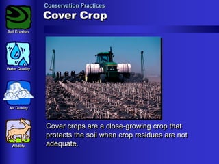 Conservation Practices

Cover Crop
Soil Erosion

Water Quality

Air Quality

Wildlife

Cover crops are a close-growing crop that
protects the soil when crop residues are not
adequate.

 