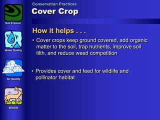 Conservation Practices

Cover Crop
Soil Erosion

How it helps . . .
Water Quality

Air Quality

Wildlife

• Cover crops keep ground covered, add organic
matter to the soil, trap nutrients, improve soil
tilth, and reduce weed competition
• Provides cover and feed for wildlife and
pollinator habitat

 