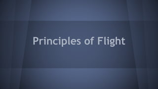 Principles of Flight
 