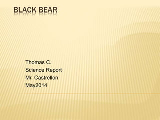 BLACK BEAR
Thomas C.
Science Report
Mr. Castrellon
May2014
 