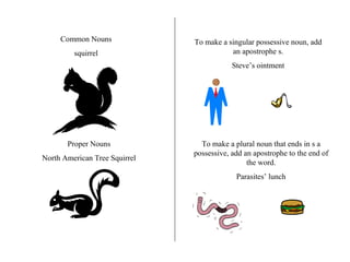 Common Nouns squirrel Proper Nouns North American Tree Squirrel To make a singular possessive noun, add an apostrophe s. Steve’s ointment To make a plural noun that ends in s a possessive, add an apostrophe to the end of the word. Parasites’ lunch 