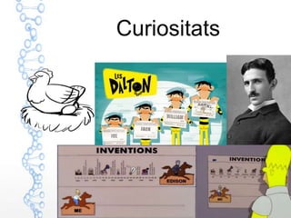 Curiositats
 