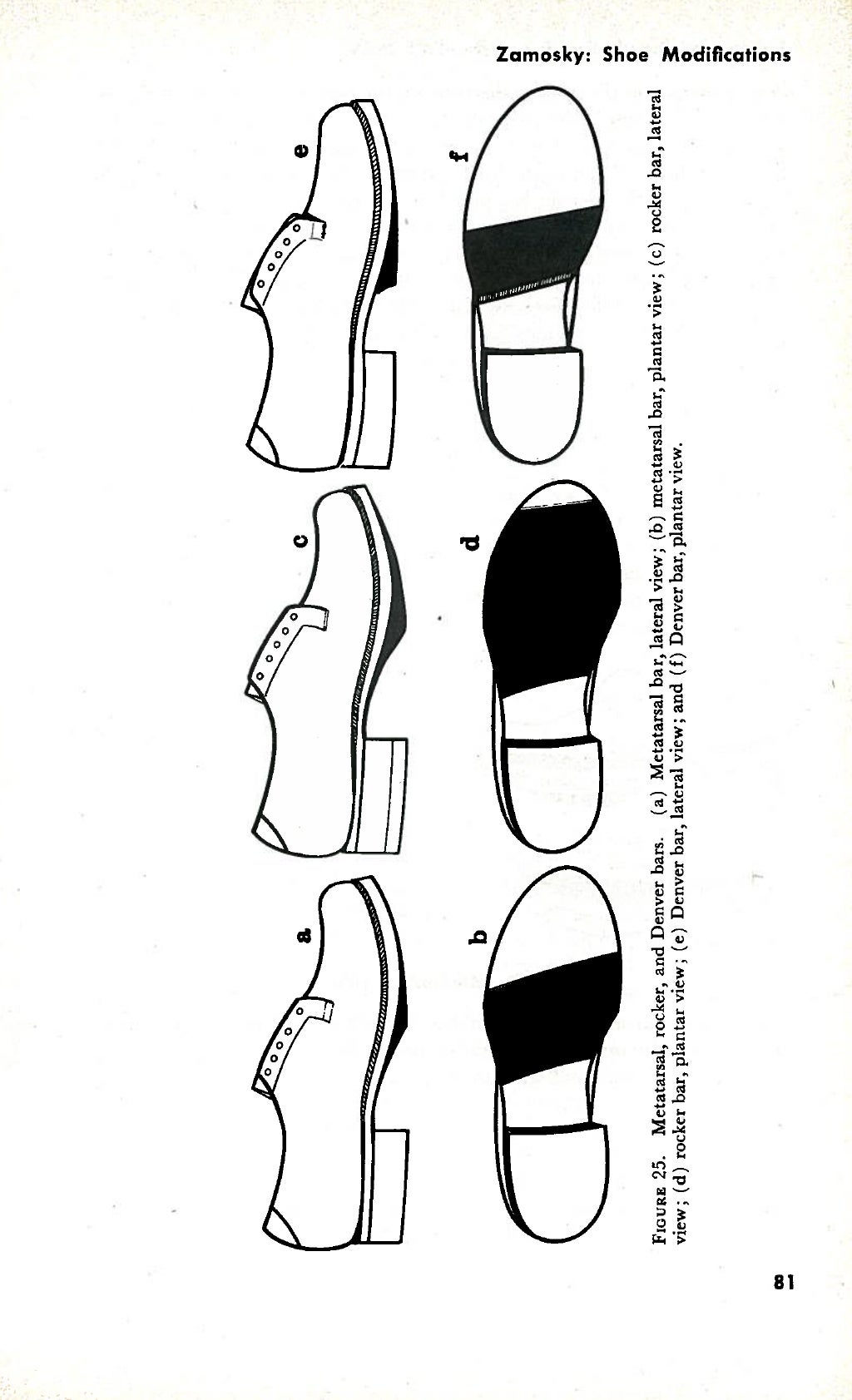thomas heel