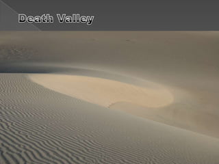 Nimmo – lumbar spine