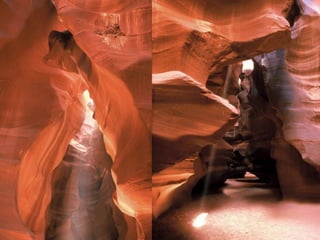 Acu-Force – trapezius/thoracic