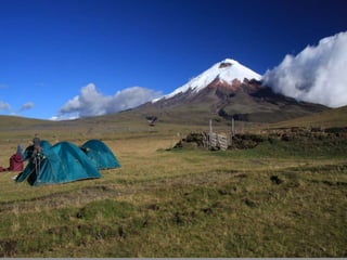 CyriaxFriction creates anesthesiaUsually within 3 minutes of friction, anesthesia begins