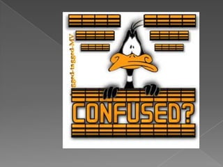 SuperficialBackLineFasciaRemoved From Cadaver