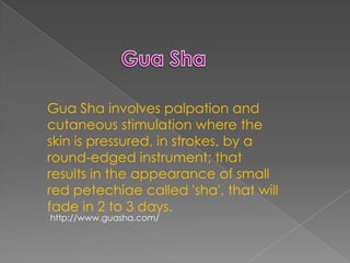 FAKTR-PMDeveloped by:Greg Doerr, DC, CCSP, CKTPTom Hyde. DC, DACBSP, CKTP, FCCSS (Hon)Contributions by: 		    Vince DeBono, DC, CCSP, CSCS (KT Tape)		    Warren Hammer, DC, MS	      Dick Vincent, DC           Shawn Burger, PT		    Mike Cicero, PT           Mike Schneider, DC, PhD           Phil Page, ATC, PT, PhD, CSCS	      Andre Labbe, PT           Ed Feinberg, DC, CCSP           Ted Forcum, DC, DACBSP		    Kay Pearce           Donna Strachan