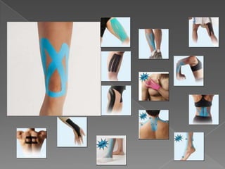 Active Resisted Biceps