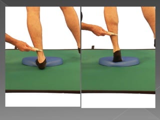 Shoulder w/Motion + Proprio