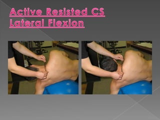 Quad, Patellar Tendon with Ball Squat