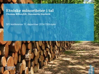 Etniske minoriteter i tal 
Thomas Klintefelt, Danmarks Statistik 
SFI konference 11. december 2014 DGI-byen 
 