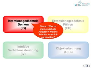 12
Intentionsgedächtnis
Denken
(IG)
Intuitive
Verhaltenssteuerung
(IV)
Extensionsgedächtnis
Fühlen
(EG)
Objekterkennung
(OES)
Planen: Was ist
meine nächste
Aufgabe? Welche
Schritte muss ich
vorbereiten?
 