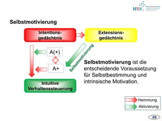 20
Intentions-
gedächtnis
Intuitive
Verhaltenssteuerung
Extensions-
gedächtnis
A+
A(+)
Selbstmotivierung
Hemmung
Aktivierung
Selbstmotivierung ist die
entscheidende Voraussetzung
für Selbstbestimmung und
intrinsische Motivation.
 