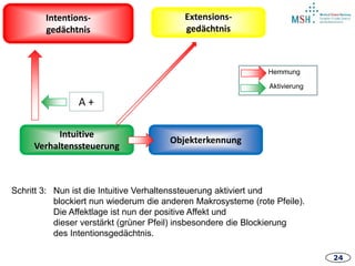 24
Intentions-
gedächtnis
Intuitive
Verhaltenssteuerung
Extensions-
gedächtnis
Objekterkennung
A +
Hemmung
Aktivierung
Schritt 3: Nun ist die Intuitive Verhaltenssteuerung aktiviert und
blockiert nun wiederum die anderen Makrosysteme (rote Pfeile).
Die Affektlage ist nun der positive Affekt und
dieser verstärkt (grüner Pfeil) insbesondere die Blockierung
des Intentionsgedächtnis.
 