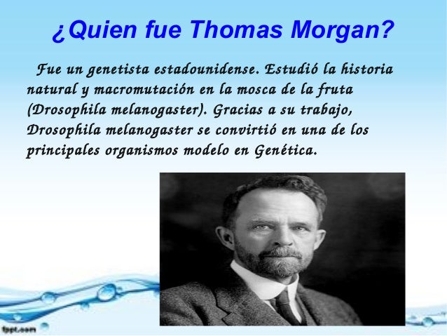 Thomas