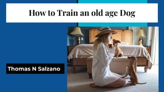 How to Train an old age Dog
Thomas N Salzano
 