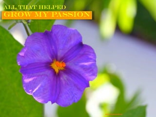 All that helped
Grow my passion
https://flic.kr/p/BQLdb
 