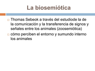 La biosemiótica




Thomas Sebeok a través del estudiode la de
la comunicación y la transferencia de signos y
señales entre los animales (zoosemiótica)
cómo perciben el entorno y sumundo interno
los animales

 