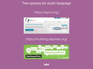 Two options for multi-language
https://multilingualpress.org/
https://wpml.org/
 