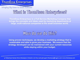 ThomEssa Enterprises is a Full Service Marketing Company that brings the concepts and ideas used by marketing departments at large, multi-national companies to the small business world.   What is ThomEssa Enterprises? Using proven techniques, we develop a marketing strategy that is sustainable and able to grow your business.  We ensure that the strategy developed can be maintained with your current resources while staying within your budget.   How do we do this? 