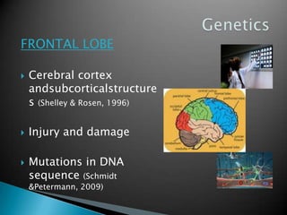 FRONTAL LOBECerebral cortex andsubcorticalstructures (Shelley & Rosen, 1996)Injury and damageMutations in DNA sequence (Schmidt & Petermann, 2009)Genetics