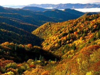 Thompson nctc va database3