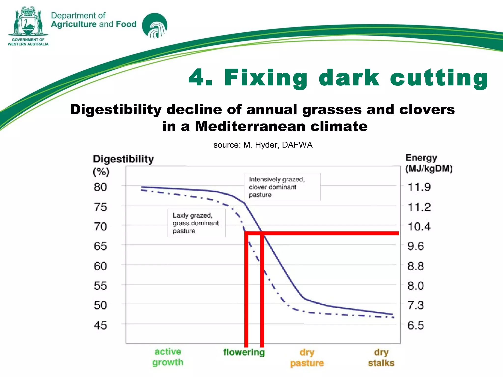 4. Fixing dark cutting
Digestibility decline of annual grasses and clovers
in a Mediterranean climate
source: M. Hyder, DAFWA
   
 
