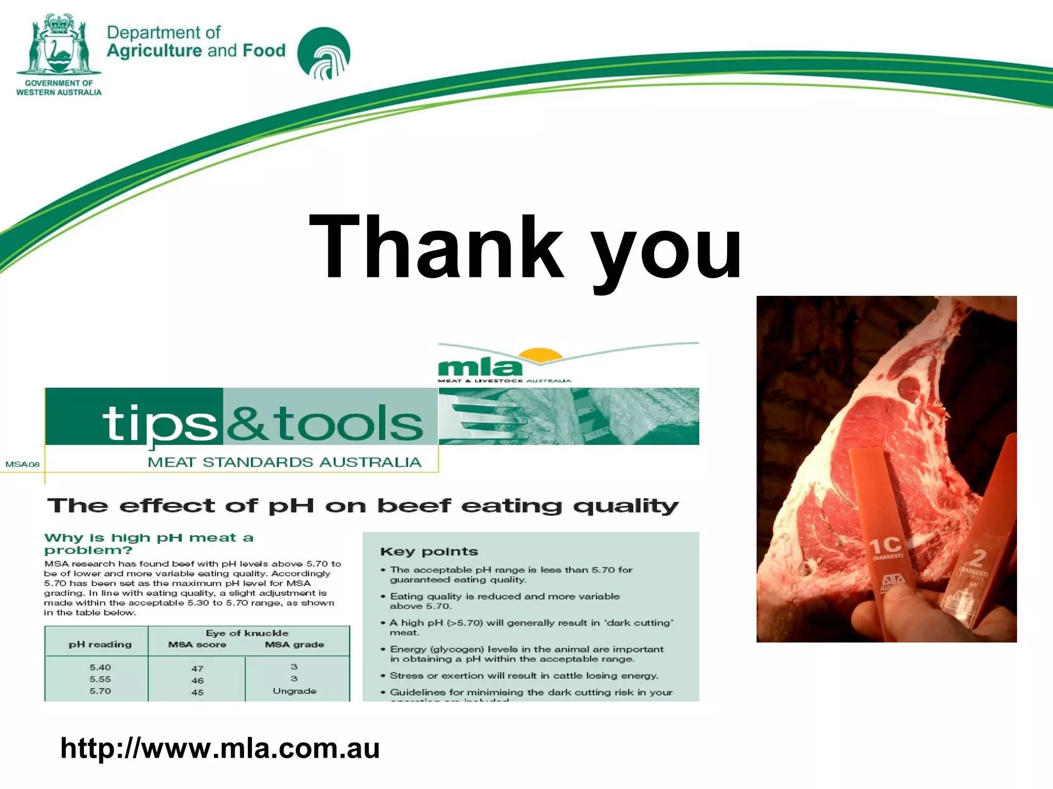 Thank you
http://www.mla.com.au
 