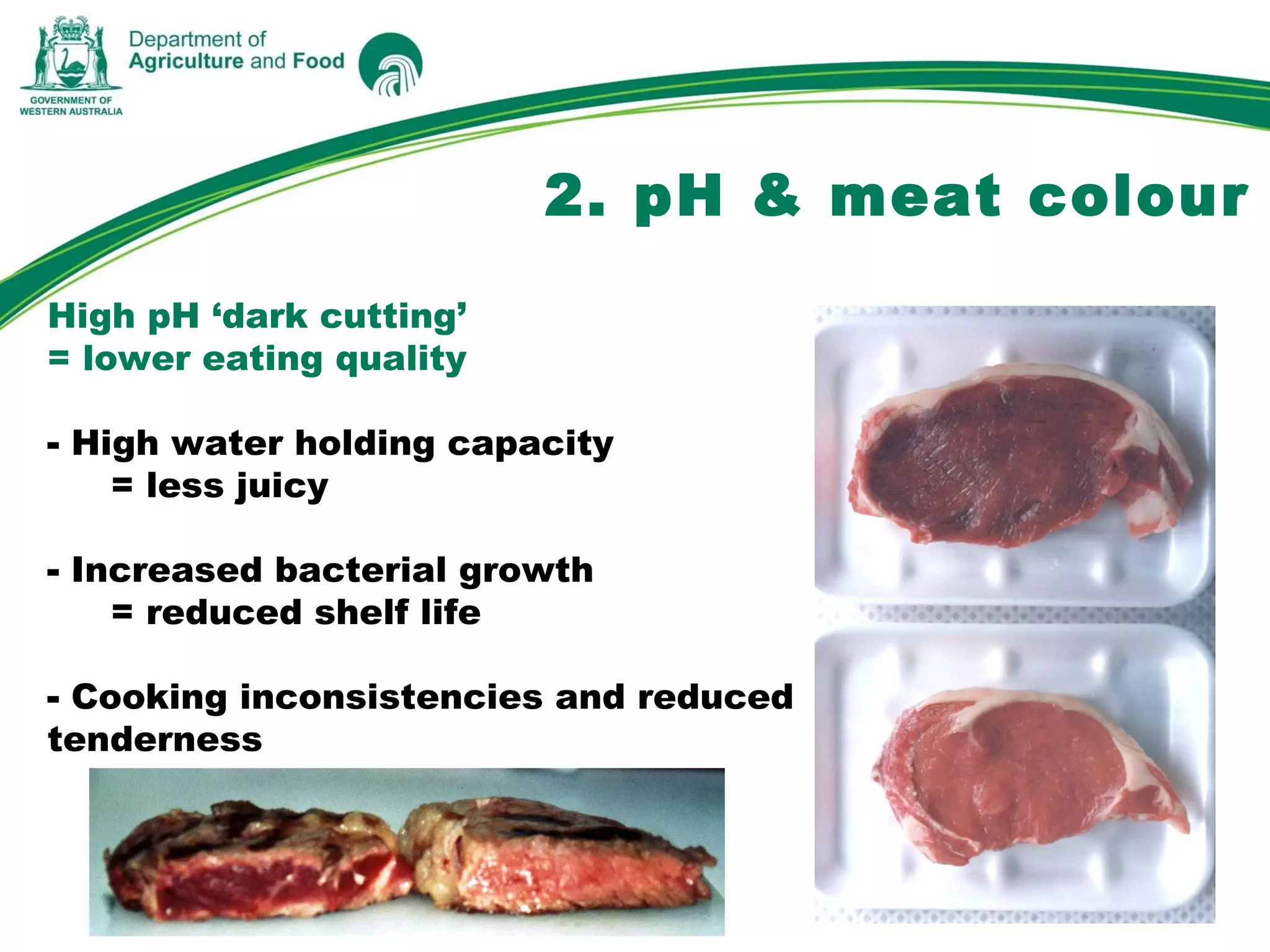 2. pH & meat colour
High pH ‘dark cutting’
= lower eating quality
- High water holding capacity
= less juicy
- Increased bacterial growth
= reduced shelf life
- Cooking inconsistencies and reduced
tenderness
 