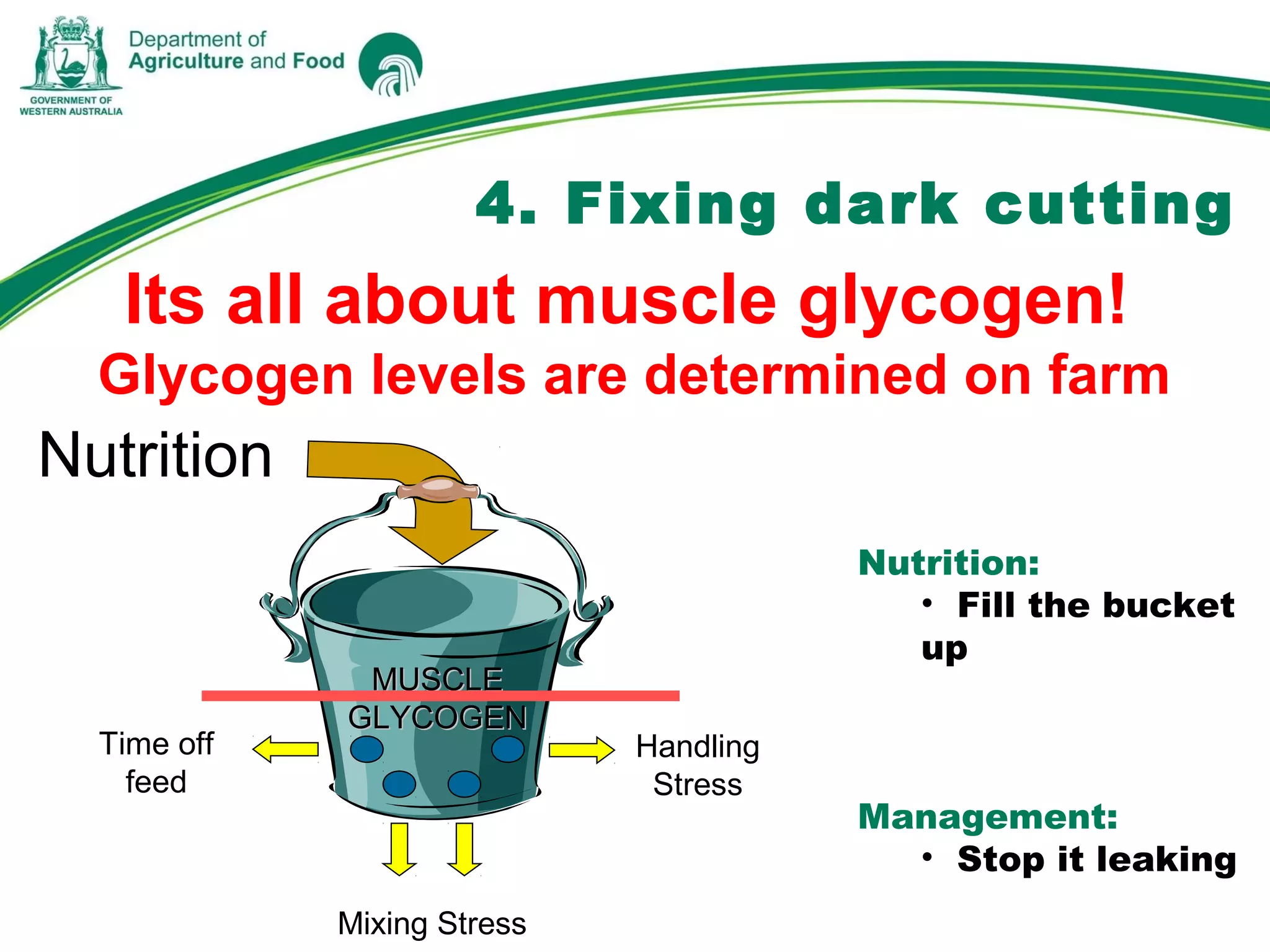 4. Fixing dark cutting
Its all about muscle glycogen!
Glycogen levels are determined on farm
Nutrition
Nutrition:
• Fill the bucket
up
Management:
• Stop it leaking
Handling
Stress
Time off
feed
MUSCLEMUSCLE
GLYCOGENGLYCOGEN
Mixing Stress
 