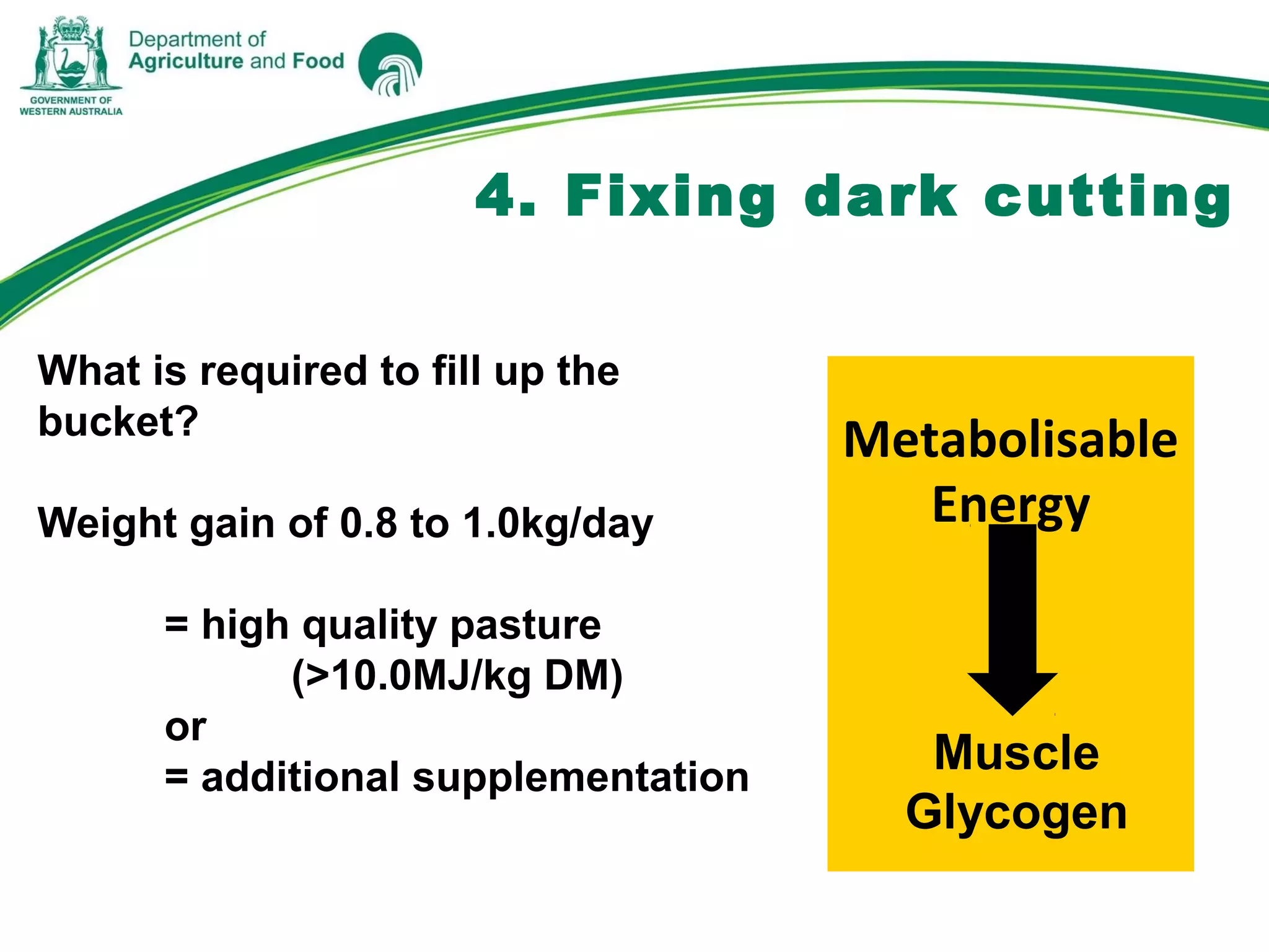 What is required to fill up the
bucket?
Weight gain of 0.8 to 1.0kg/day
= high quality pasture
(>10.0MJ/kg DM)
or
= additional supplementation
Metabolisable
Energy
Muscle
Glycogen
4. Fixing dark cutting
 