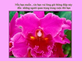 Nếu bạn muốn , xin bạn vui lòng gửi thông điệp nàyNếu bạn muốn , xin bạn vui lòng gửi thông điệp này
đến những người quan trọng trong cuộc đời bạnđến những người quan trọng trong cuộc đời bạn
 