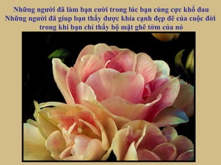 Những người đã làm bạn cười trong lúc bạn cùng cực khổ đau
Những người đã gíup bạn thấy được khía cạnh đẹp đẽ của cuộc đời
trong khi bạn chỉ thấy bộ mặt ghê tởm của nó
 