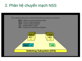 2. Phân h chuy n m ch NSSệ ể ạ
 