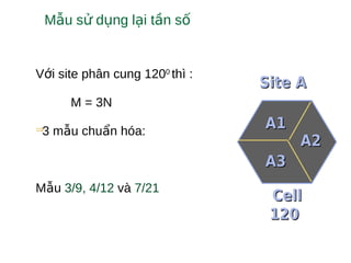 V i site phân cung 120ớ 0
thì :
M = 3N
⇒3 m u chu n hóa:ẫ ẩ
M uẫ 3/9, 4/12 và 7/21
M u s d ng l i t n sẫ ử ụ ạ ầ ố
CellCell
120120
Site ASite A
A1A1
A2A2
A3A3
 