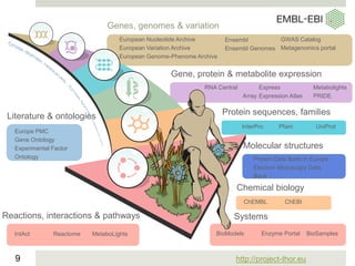 http://project-thor.eu9
Genes, genomes & variation
RNA Central
Array
Express
Expression Atlas
Metabolights
PRIDE
ChEMBL ChEBI
Molecular structures
Protein Data Bank in Europe
Electron Microscopy Data
Bank
European Nucleotide Archive
European Variation Archive
European Genome-Phenome Archive
Gene, protein & metabolite expression
Protein sequences, families
Chemical biology
Reactions, interactions & pathways
IntAct Reactome MetaboLights
Systems
BioModels Enzyme Portal BioSamples
Ensembl
Ensembl Genomes
GWAS Catalog
Metagenomics portal
Europe PMC
Gene Ontology
Experimental Factor
Ontology
Literature & ontologies
InterPro Pfam UniProt
 