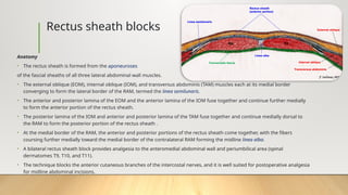Rectus Sheath Block Target ANESTHESIA Thoracic & abdominal wall blocks.pptx