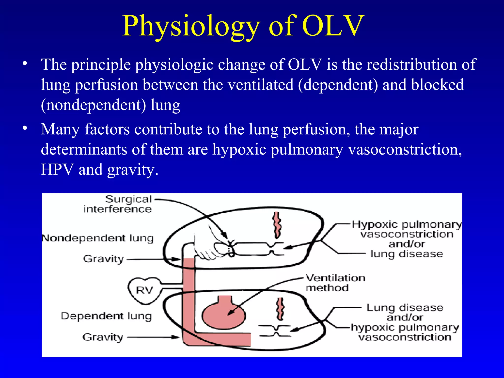 Physiology of OLV
• The principle physiologic change of OLV is the redistribution of
lung perfusion between the ventilated (dependent) and blocked
(nondependent) lung
• Many factors contribute to the lung perfusion, the major
determinants of them are hypoxic pulmonary vasoconstriction,
HPV and gravity.
 