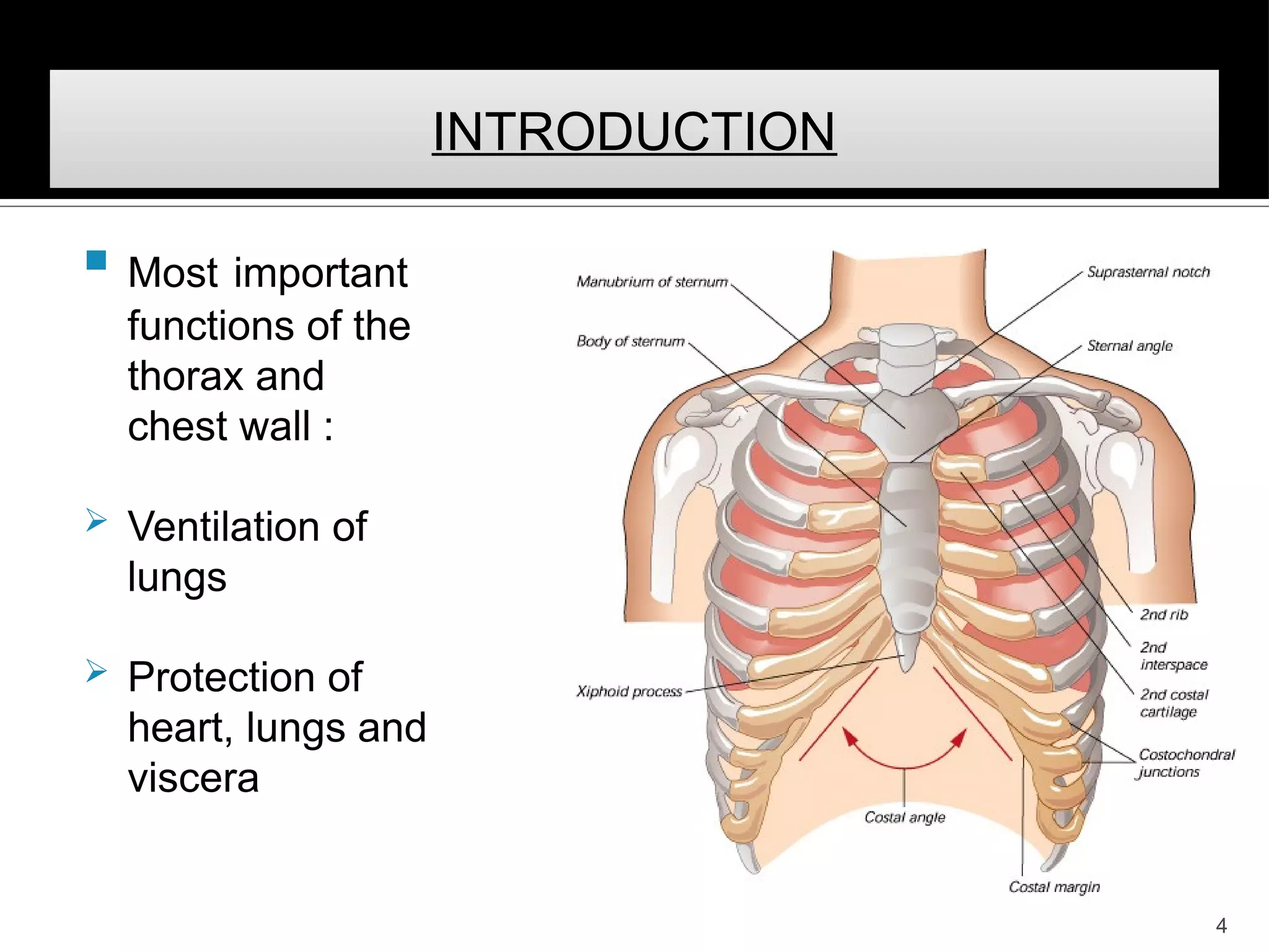 Thorcaic Rib Dysfunction Thoracic and rib cage anatomy, biomechanics, and pathomechanics | PDF