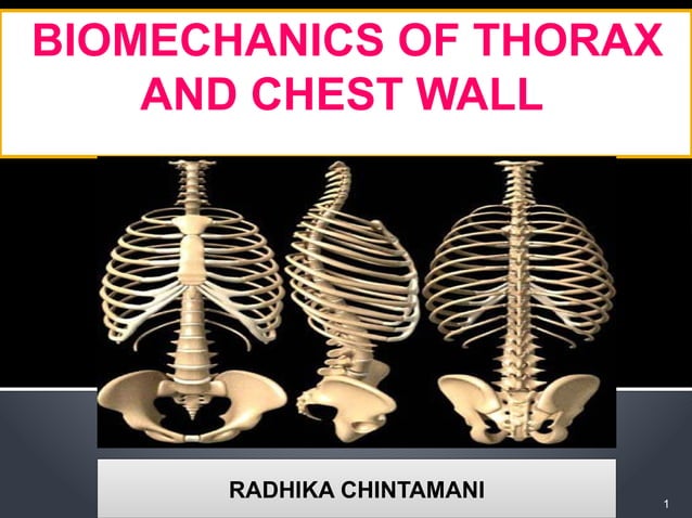 Thoracic and rib cage anatomy, biomechanics, and pathomechanics | PDF