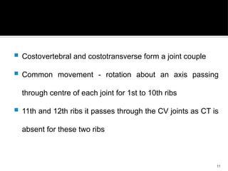 Thoracic and rib cage anatomy, biomechanics, and pathomechanics | PDF